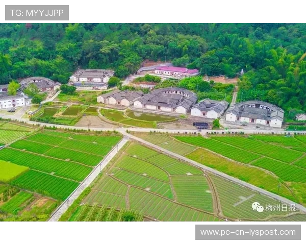 梅州客家前场逼抢不断收效，控场能力提升